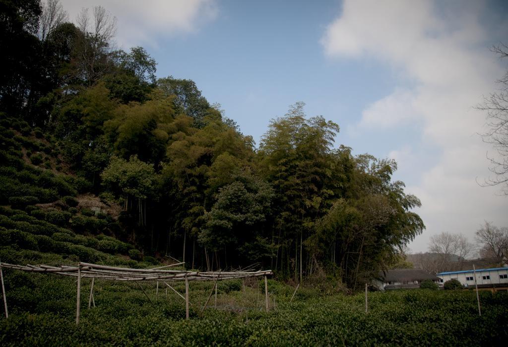 Hangzhou Banyan Art House Екстериор снимка