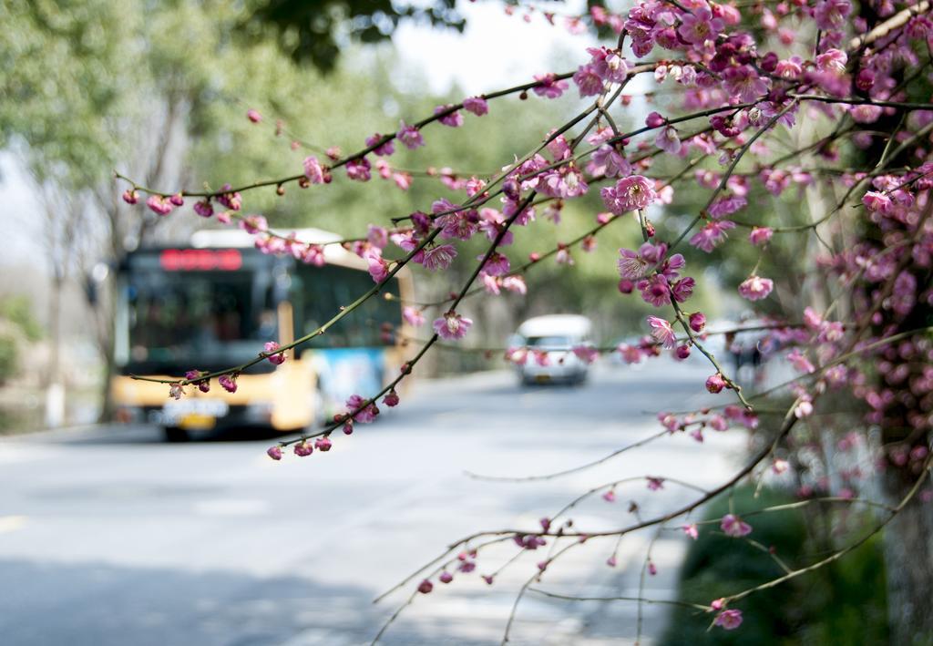 Hangzhou Banyan Art House Екстериор снимка